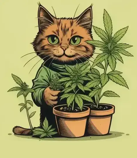 SeedKitty